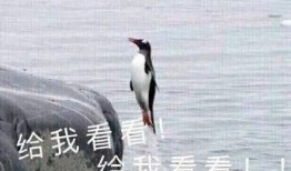 暖春吃瓜,品味春天的甜蜜滋味