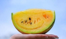 吃云南的瓜,探寻云南特色水果之旅