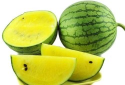 吃鲜瓜搞笑视频素材,鲜瓜搞笑视频，夏日清凉一夏