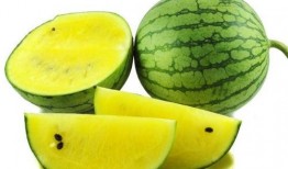 吃鲜瓜搞笑视频素材,鲜瓜搞笑视频，夏日清凉一夏