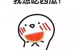 我在吃瓜日语,揭秘日本流行语背后的趣味与智慧