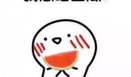 我在吃瓜日语,揭秘日本流行语背后的趣味与智慧