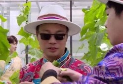 极限挑战巴楚吃瓜,极限挑战团队欢乐吃瓜记