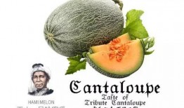 老六吃瓜公众号,老六吃瓜，独家爆料娱乐圈幕后真相