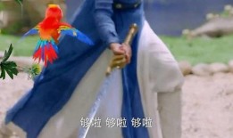 玥玥吃瓜,揭秘娱乐圈幕后故事