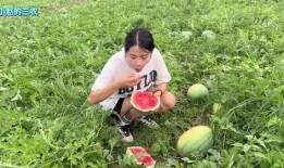 河南南阳吃瓜女生,网络热议背后的社会观察