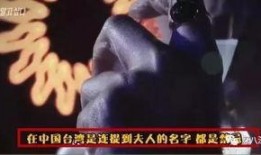 怪谈吃瓜系统后续,揭秘神秘世界背后的惊悚故事