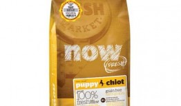 吃瓜少女吃猫粮狗粮