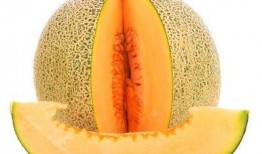 肺热吃哈密瓜