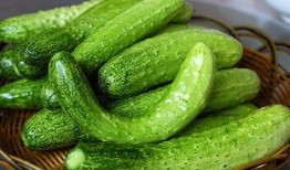 唐十八吃瓜11,揭秘宫廷秘闻，笑谈皇家轶事