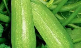 gmm吃瓜,揭秘娱乐圈背后的那些事儿