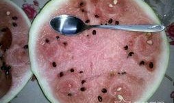 白塘吃瓜,揭秘网络热点的背后故事