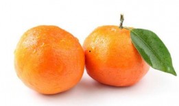 桔梓吃瓜,揭秘娱乐圈幕后故事