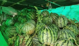 大民吃瓜,揭秘娱乐圈幕后故事