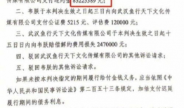 评论区吃瓜被起诉,网络评论引发的法律风波