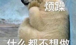 很正直的吃瓜群众图片,网络红人的真实生活