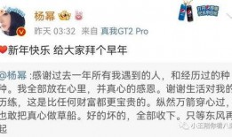 吃瓜盟主争议,揭秘网络舆论背后的真相与争议