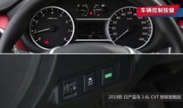 蓝鸟吃瓜原视频