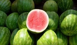 吃瓜会说话的西瓜,揭秘“吃瓜群众”背后的西瓜奥秘