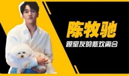 吴楚一明显吃瓜,瓜田李下，娱乐圈的“吃瓜群众”