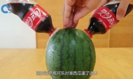 美女吃梨瓜,美女品味瓜果时光