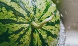 中国人吃瓜,揭秘全民娱乐背后的现象与影响