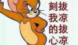 很正直的吃瓜群众图片,网络红人的真实生活