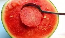 不露脸的吃瓜,不露脸吃瓜者的神秘世界