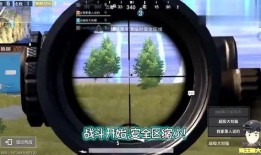 猫吃瓜现场视频,萌态百出，笑料连连