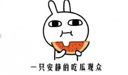 本是吃瓜怎么主角,一场意外的娱乐圈风云