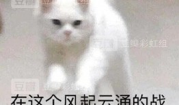 理智吃瓜网名大全,网名大全中的趣味人生