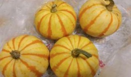 太阳瓜怎么吃,探索美味与营养的完美融合