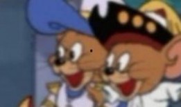 猫吃瓜现场视频,萌态百出，笑料连连