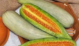 思瓜骨朵管吃吗,揭秘其食用价值与食用方法