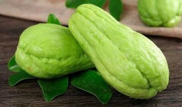 体制内的吃瓜,揭秘官场“吃瓜”背后的真相