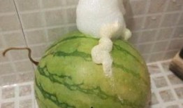 吃泡泡的瓜,甜蜜诱惑，尽享美味时光