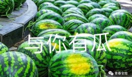 东方甄选陕西专场吃瓜,吃瓜群众解锁地道美食之旅