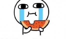 吃瓜买衣服,揭秘买衣服的趣味指南