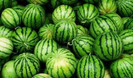 美女吃梨瓜,美女品味瓜果时光