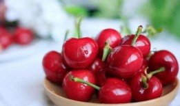 樱桃在线吃瓜,揭秘网络吃瓜文化新趋势