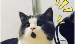 吃瓜群众迫不及待