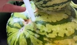 快速吃瓜的视频搞笑,笑料横生！