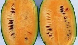 吃奇瓜异果,探寻奇瓜异果的神秘世界