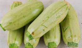 瓜可以生着吃吗,探索瓜类生吃的奥秘