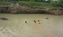 吃小白瓜的害处,揭秘食用不当的五大风险