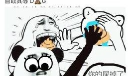 半冷不热吃瓜人,探寻现代生活的微妙平衡