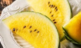 大理吃瓜摆摊,吃瓜摆摊，品味生活百态