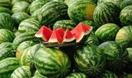 流行瓜怎么吃,解锁美味新境界