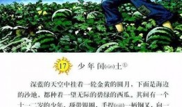 闰土吃瓜资源群,揭秘网络社交新潮流