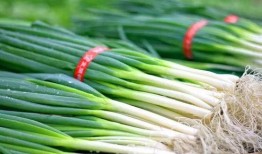 木里吃大瓜,探寻大瓜的秘密之旅